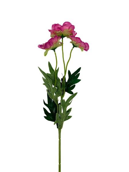 Anemon gałązka 50 cm różowa