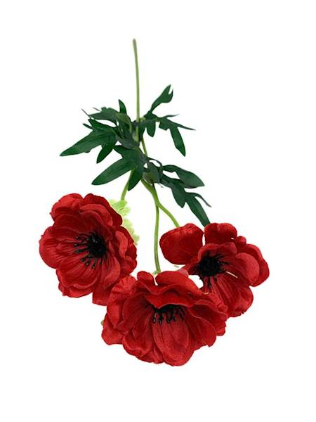 Anemon gałązka 50 cm czerwony