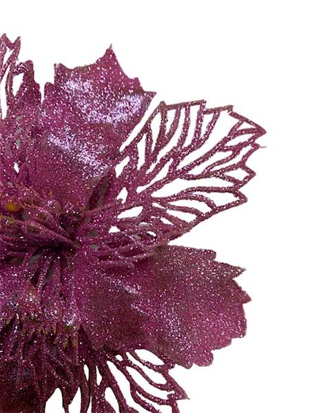 Gwiazda betlejemska główka 17 cm różowa