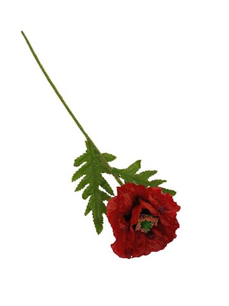 Mak gałązka 58 cm czerwony