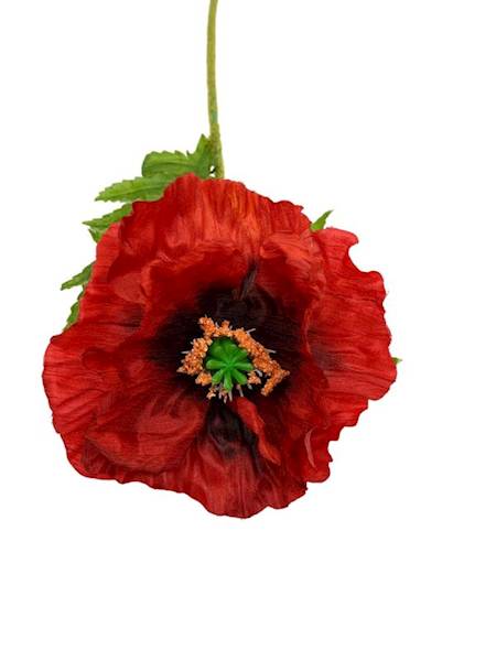 Mak gałązka 58 cm czerwony