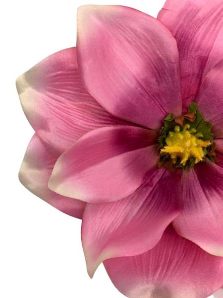 Magnolia główka 22 cm różowa