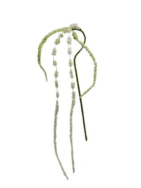 Amarantus szarłat 108 cm biały