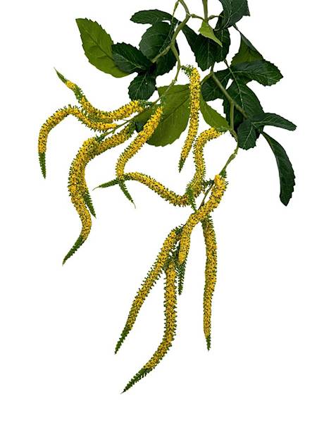 Szarłat zwis gałązka 90 cm żółty