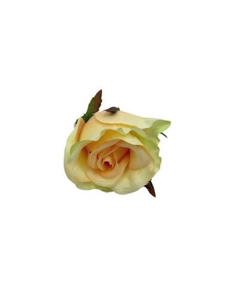 Róża główka 5 cm jasno brzoswiniowa