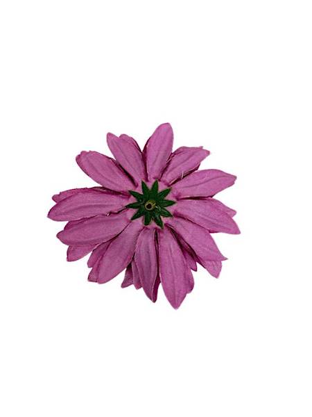 Aster główka 8 cm różowy