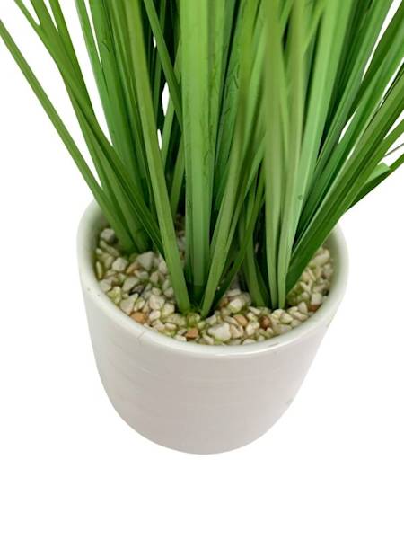 Trawa w doniczce 34 cm