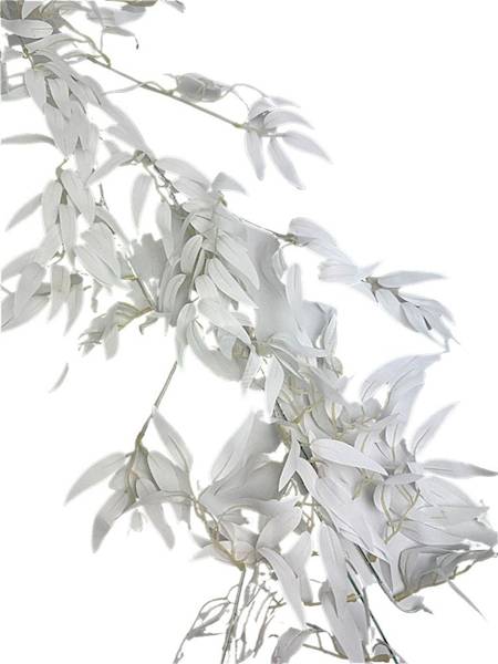 Girlanda ruskus 173 cm biała