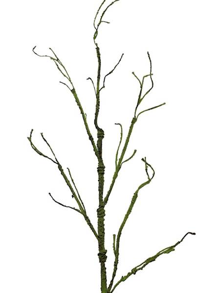 Korzeń 115 cm zielony