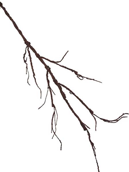 Korzeń 114 cm ciemny brąz