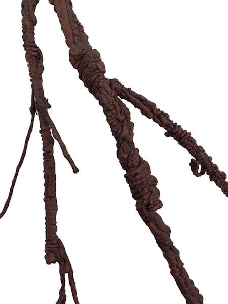 Korzeń 114 cm ciemny brąz