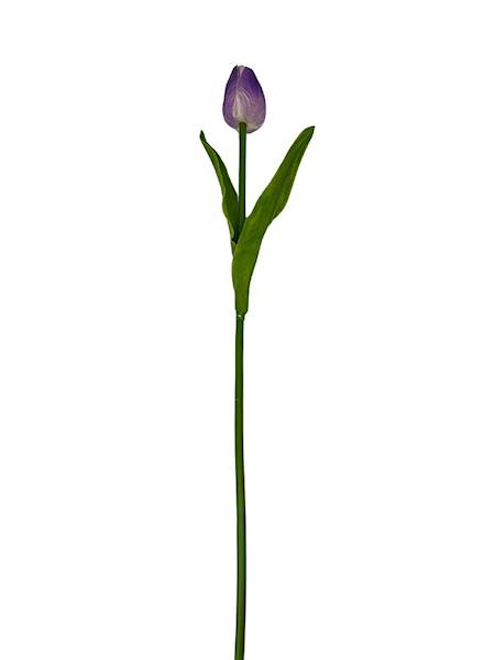TULIPAN Z PIANKI 45 CM JASNY FIOLET
