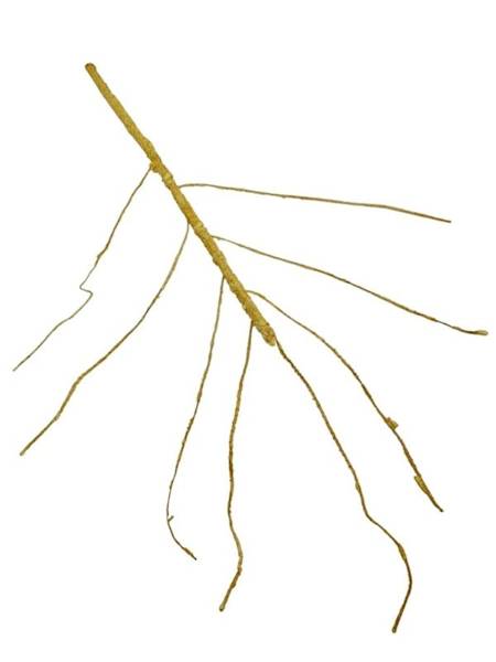 Korzeń 64 cm żółty