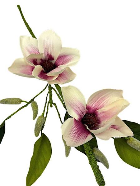 Magnolia duża gałąź 79 cm kremowo różowa