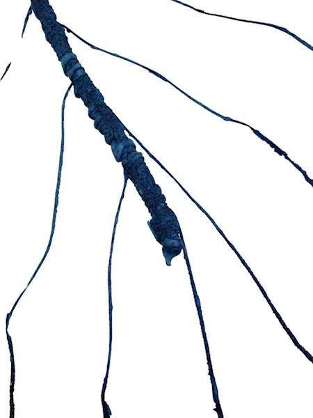 Korzeń 64 cm ciemno niebieski