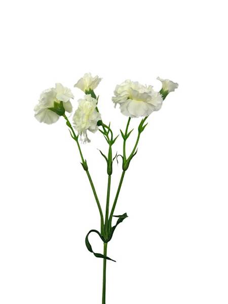 Goździk na gałązce 64 cm kremowy