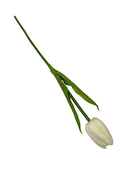 TULIPAN Z PIANKI 45 CM JASNY KREM