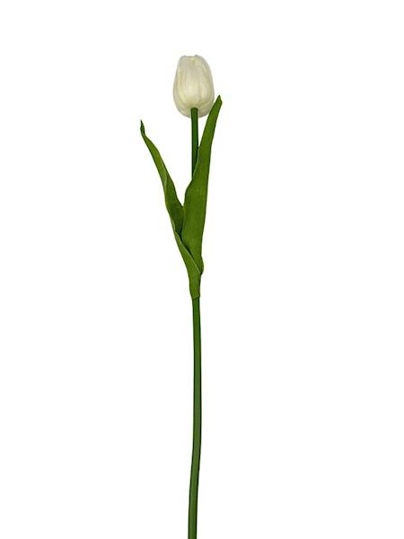 TULIPAN Z PIANKI 45 CM JASNY KREM