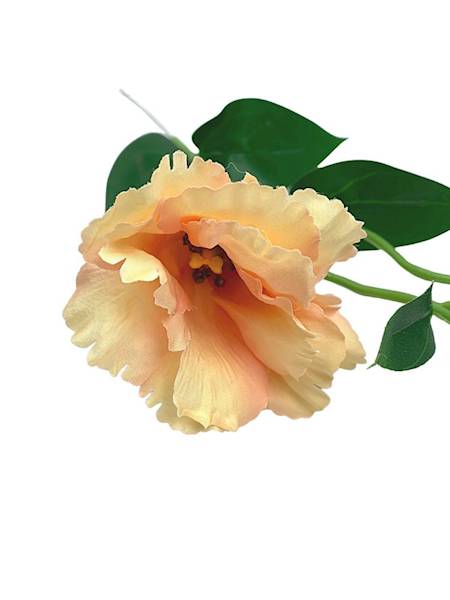 Eustoma gałązka 48 cm brzoskwiniowa