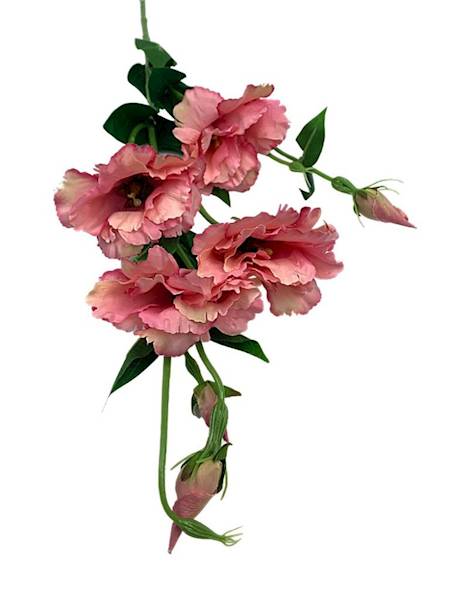 Eustoma gałązka 80 cm brudny róż