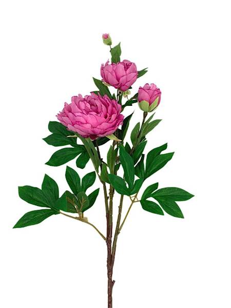 Piwonia gałązka 114 cm głęboki róż