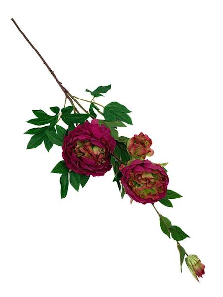 Piwonia gałązka 114 cm fuksja z dodatkiem zieleni