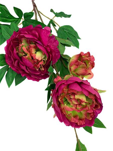 Piwonia gałązka 114 cm fuksja z dodatkiem zieleni