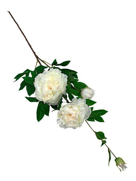 Piwonia gałązka 114 cm biała