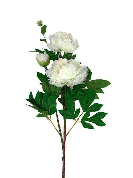 Piwonia gałązka 114 cm biała