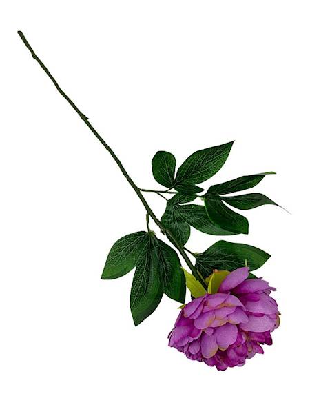 Piwonia gałązka 66 cm fiolet