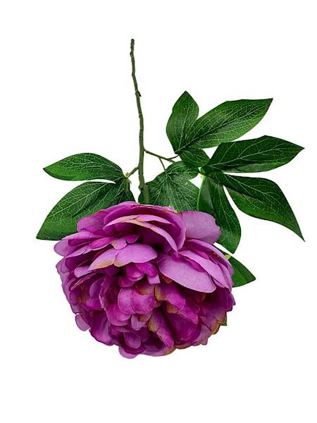 Piwonia gałązka 66 cm fiolet