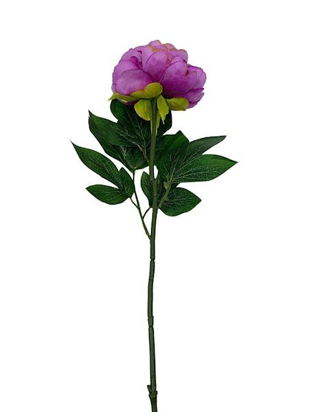 Piwonia gałązka 66 cm fiolet