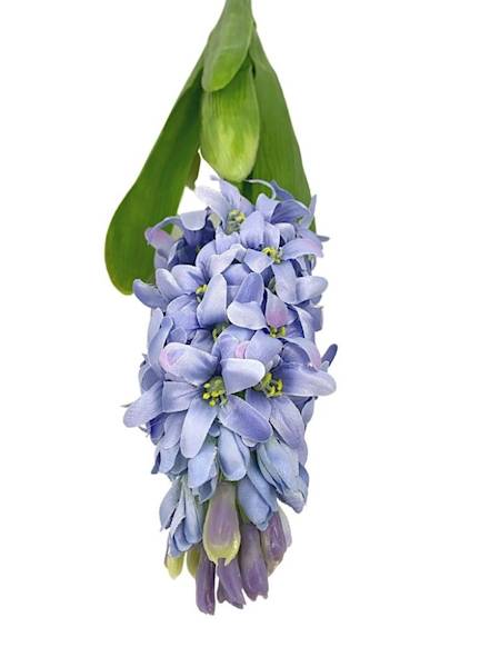 Hiacynt 40 cm jasno niebieski 