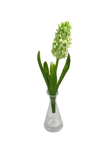 Hiacynt 40 cm jasno zielony 