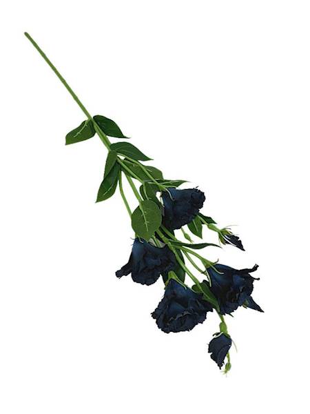 Eustoma gałązka 80 cm czarno niebieska