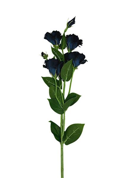 Eustoma gałązka 80 cm czarno niebieska