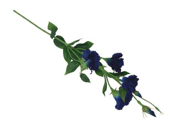 Eustoma gałązka 80 cm ciemno niebieska