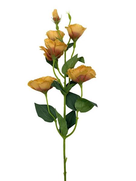 Eustoma gałązka 85 cm jasny brąz