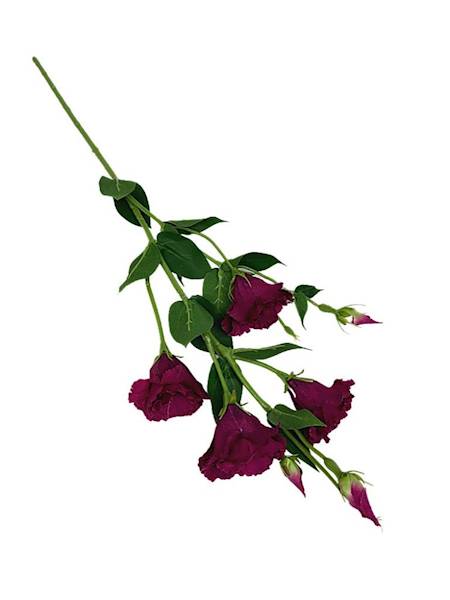 Eustoma gałązka 80 cm fuksja