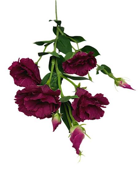 Eustoma gałązka 80 cm fuksja