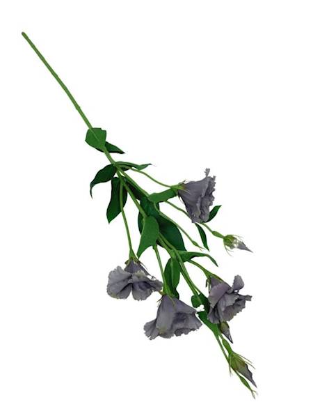Eustoma gałązka 80 cm szara