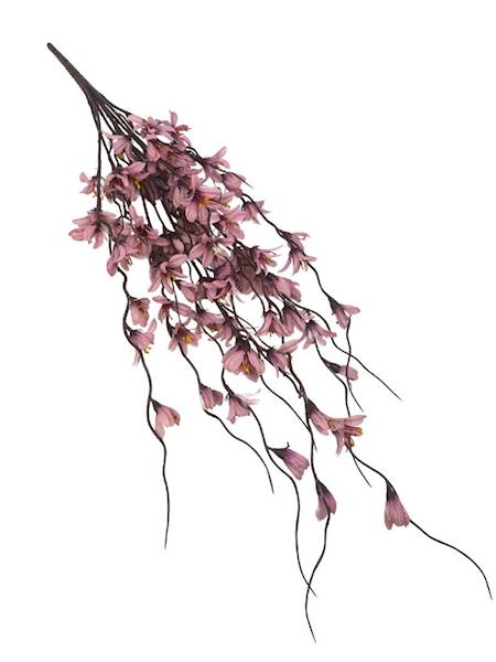 Bukiet forsycja 85 cm brudny róż