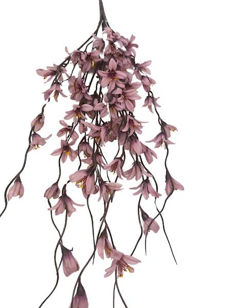 Bukiet forsycja 85 cm brudny róż