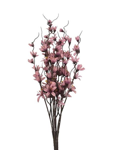 Bukiet forsycja 85 cm brudny róż