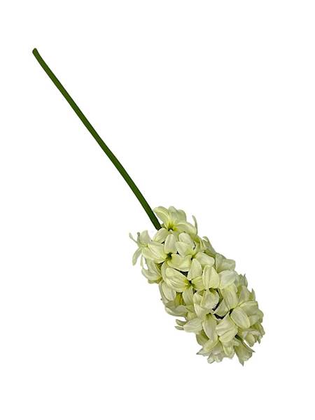 Hiacynt gałązka 40 cm kremowy