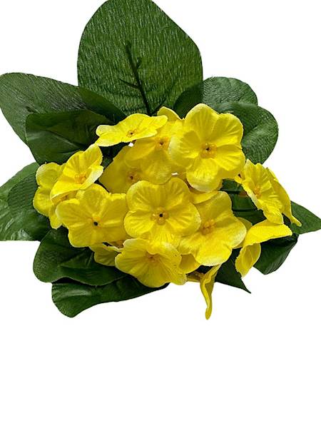 Bukiet fiołki 20 cm żółte