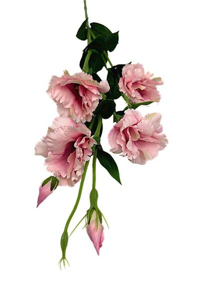 Eustoma gałązka 80 cm różowa