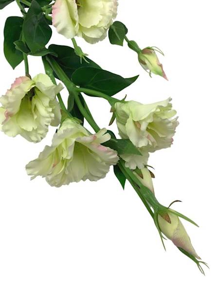 Eustoma gałązka 80 cm jasno zielona z różowym