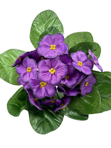 Bukiet fiołki 20 cm fiolet