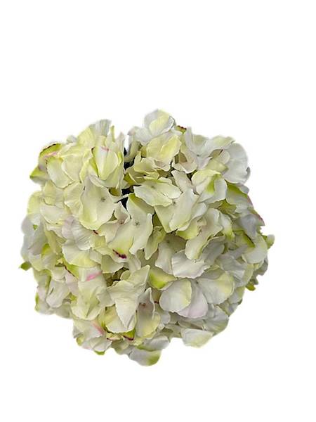 Hortensja bukiet 41 cm kremowa